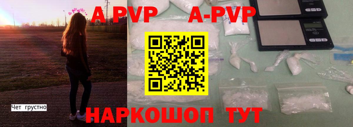 Альфа ПВП СК КРИС Обь