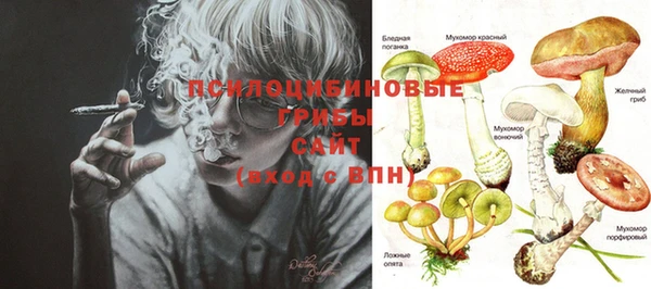 марки nbome Белокуриха