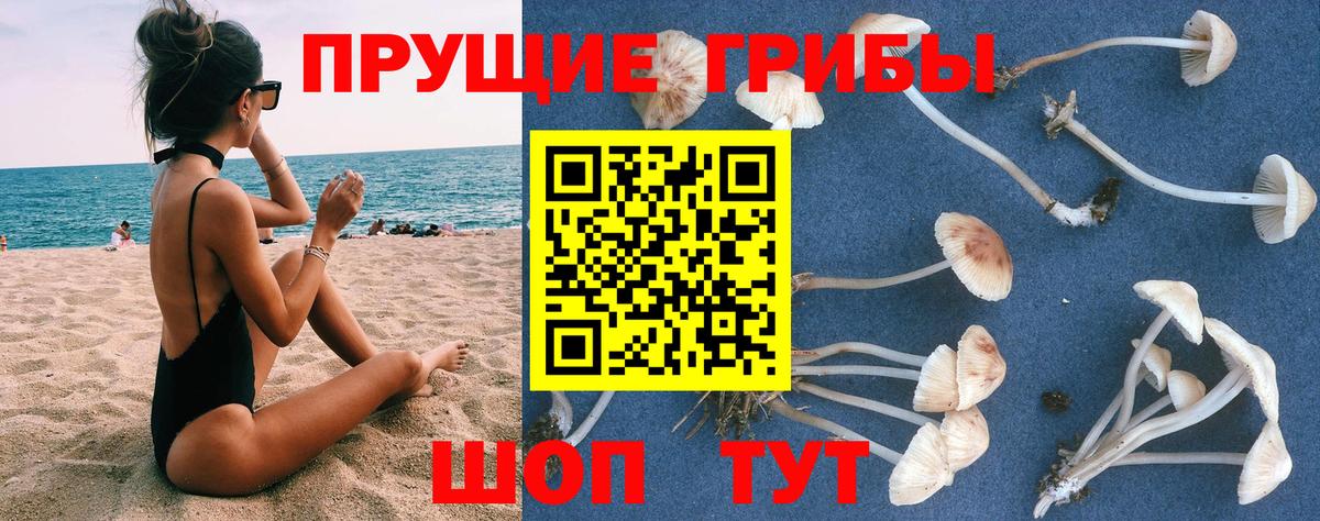 Псилоцибиновые грибы Psilocybine cubensis  Вход с VPN  Псилоцибиновые грибы GOLDEN TEACHER  Обь 