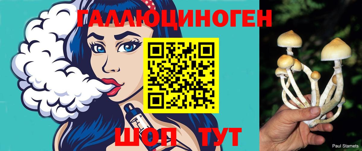 Галлюциногенные грибы GOLDEN TEACHER Обь